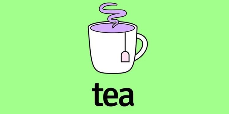 PRESTE ATENÇÃO: O VAZAMENTO do app Tea expõe 72.000 imagens de usuárias!