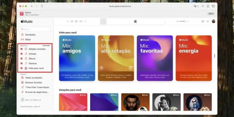 Personalize sua BACIA do Apple Music AGORA e impressione!